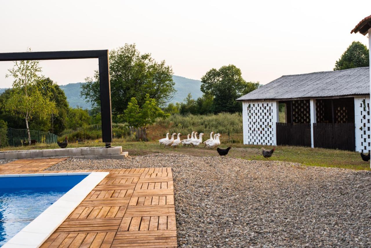 Maison d'hôtes Skriveni Raj à Gornji Milanovac Extérieur photo